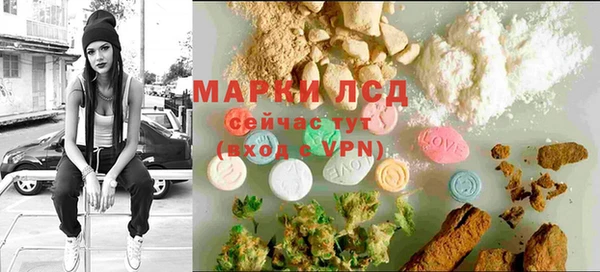 индика Тольятти