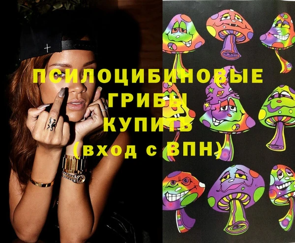 стафф Ижевск