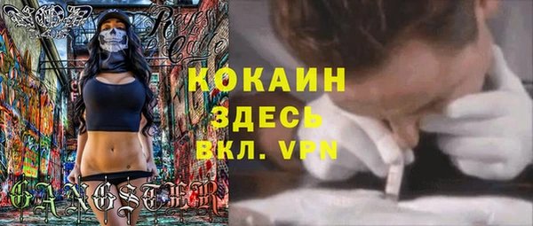 молекула духа Барнаул