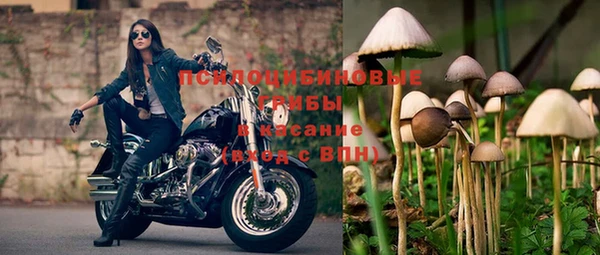 молекула духа Барнаул