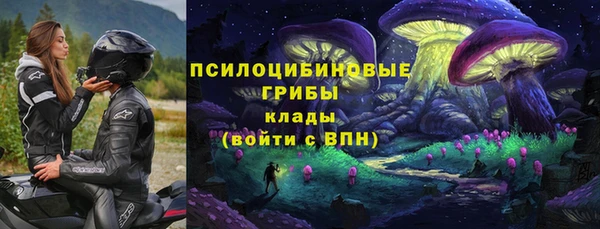 молекула духа Барнаул