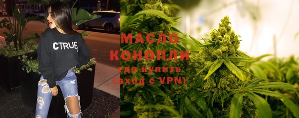 индика Тольятти