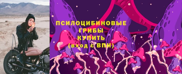 стафф Ижевск
