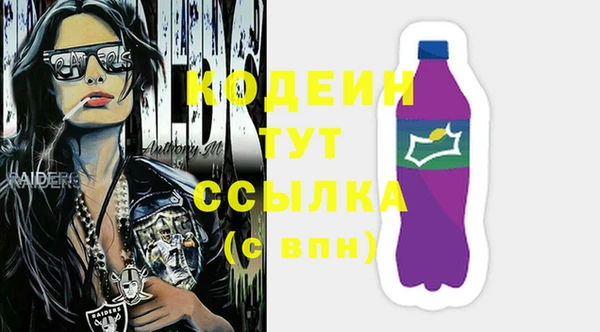 индика Тольятти